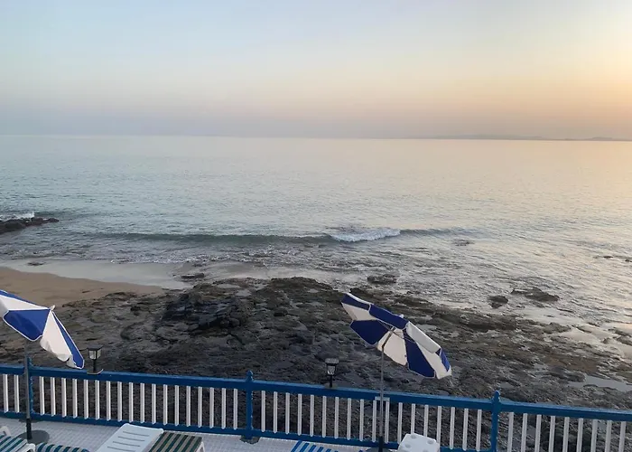 Knights بويرتو ذيل كارمين